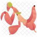 Mantis  アイコン