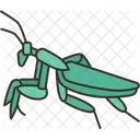 Mantis  アイコン