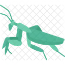 Mantis  アイコン