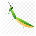 Mantis Insect Bug アイコン
