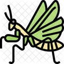 Mantises  Icon
