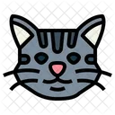 Manx Cat  Icon