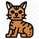 Manx Cat Icon