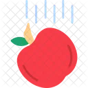 Manzana  Icono