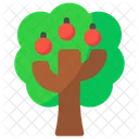 Árbol de manzana  Icono