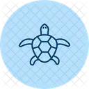 Map Turtle Mapturtle Reptile Icon