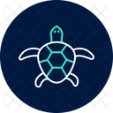 Map Turtle Mapturtle Reptile Icon