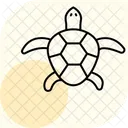 Map Turtle Mapturtle Reptile Icon