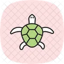 Tartaruga Mapa Tartaruga Mapa Reptil Ícone