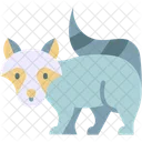 Mapache Animal Fauna Icon