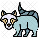 Mapache Animal Fauna Icon