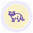 Mapache Icono