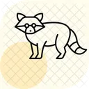 Mapache Icono