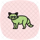 Mapache Icono