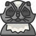 Mapache Avatar Fauna Icono