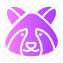 Mapache Animal Cara Icon