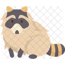 Mapache  Icon