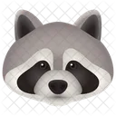 Mapache Animal Fauna Icono