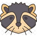 Mapache Cabeza Fauna Icono