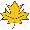 Maple Leaf Nature Icon