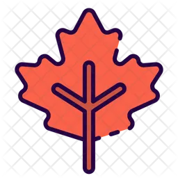 Maple  Icon