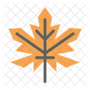 Maple  Icon