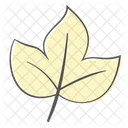Maple Autumn Plant Icon