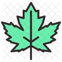 Spring Leaf Icon