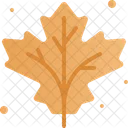 Maple Leaf Maple Leaf Icon
