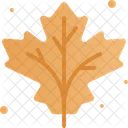 Maple Leaf  Icône