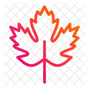 Maple  Icon