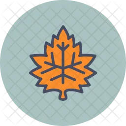 Maple  Icon