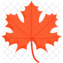 Maple Leaf Red Icon