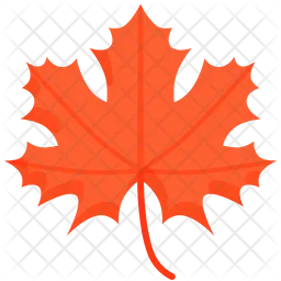 Maple  Icon