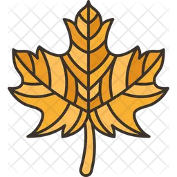 Maple  Icon