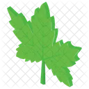 Maple Leaf Leaf Tree Leaf Icon