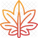 Maple Leaf Foliage Icon