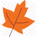 Maple Icon Icon