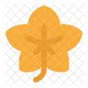 Maple Maple Leaf Leaf Icon