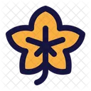 Maple  Icon