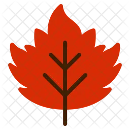 Maple  Icon