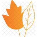 Maple Icon Icon