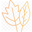 Maple Leave Leaf Icon