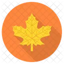 Maple Leaf Autumn Canada Icon