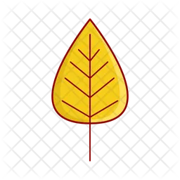 Maple leaf  Icon