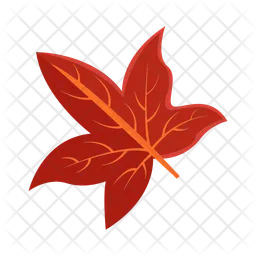 Maple leaf  Icon