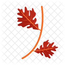 Maple leaf  Icon