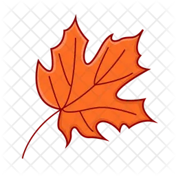 Maple leaf  Icon