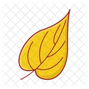 Maple Nature Leaf Icon