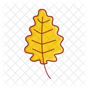 Maple Nature Leaf Icon